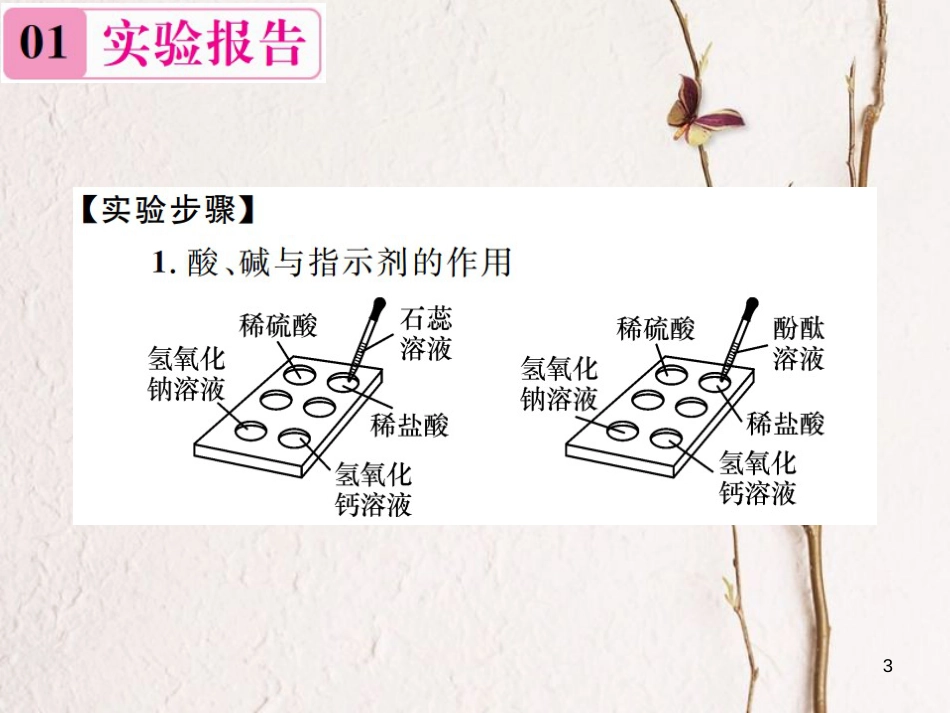 九年级化学下册 10 酸和碱 实验活动6 酸、碱的化学性质习题课件 （新版）新人教版_第3页