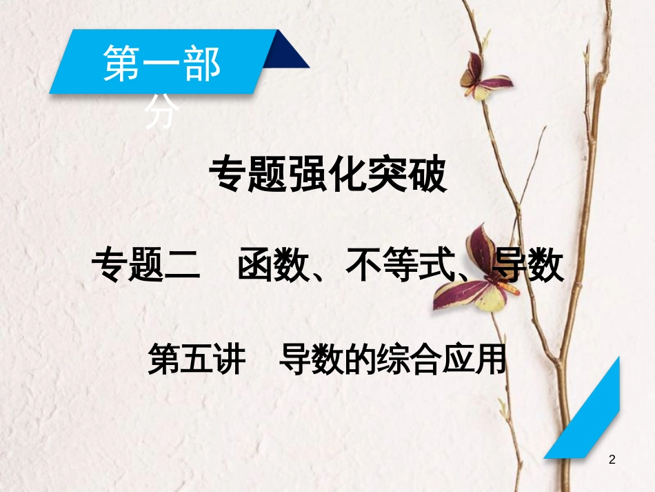 高考数学大二轮复习 专题二 函数、不等式、导数 第5讲 导数的综合应用复习指导课件_第2页