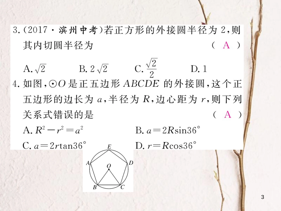 九年级数学下册 第24章 圆 24.6 第2课时 正多边形的性质练习课件 （新版）沪科版_第3页