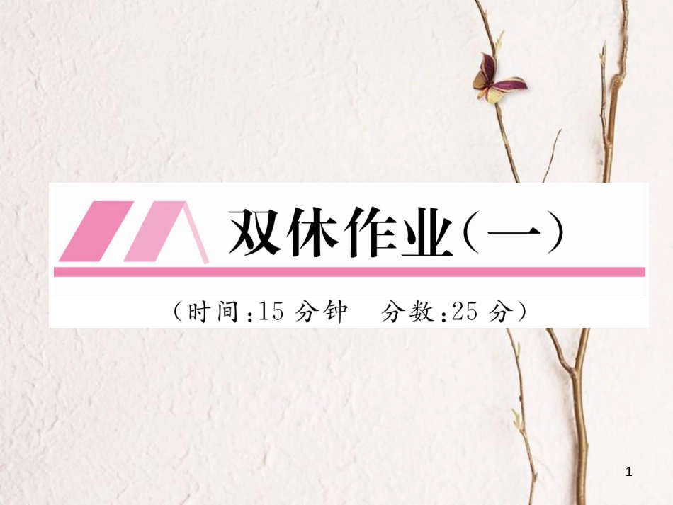 九年级化学下册 双休作业（一）作业课件 （新版）新人教版_第1页
