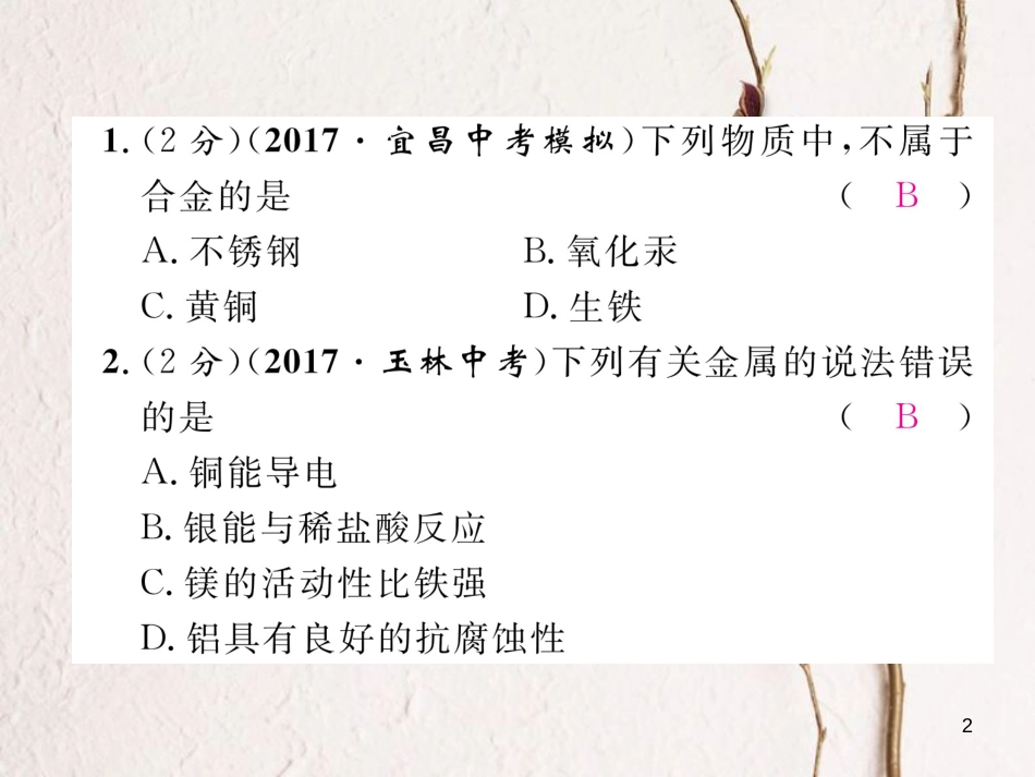 九年级化学下册 双休作业（一）作业课件 （新版）新人教版_第2页