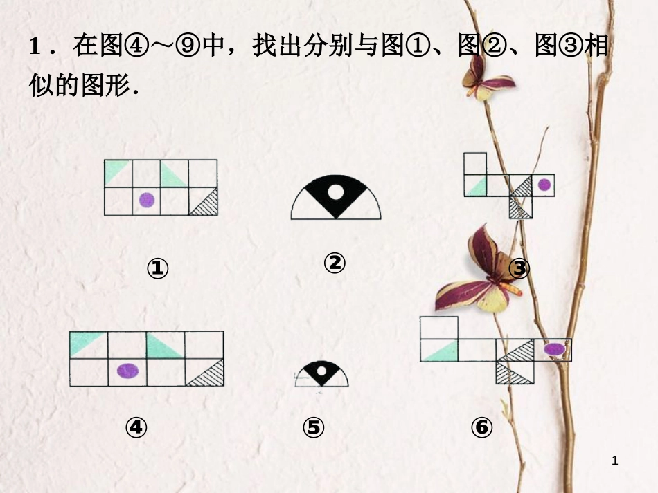 九年级数学下册 6.3 相似图形练习素材 （新版）苏科版_第1页