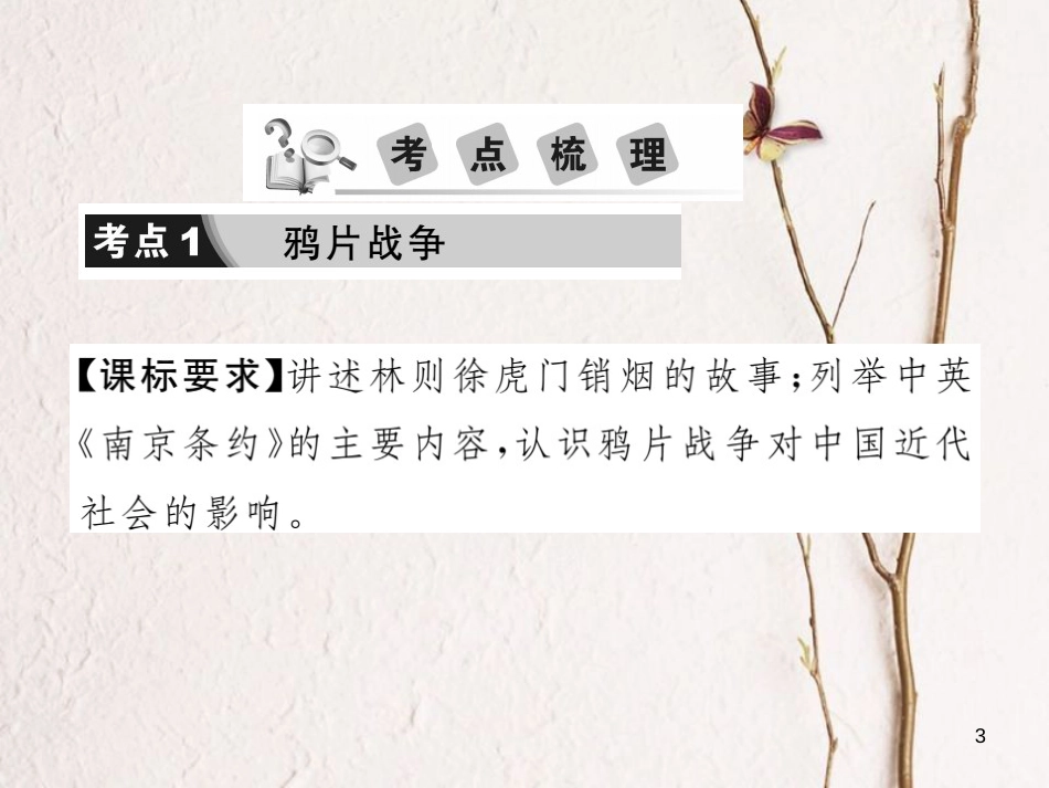 中考历史总复习 第二部分 中国近代史 第一学习主题 列强的侵略和中国人民的抗争课件_第3页