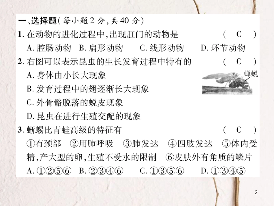 八年级生物上册 期末标测试课件二 （新版）新人教版_第2页