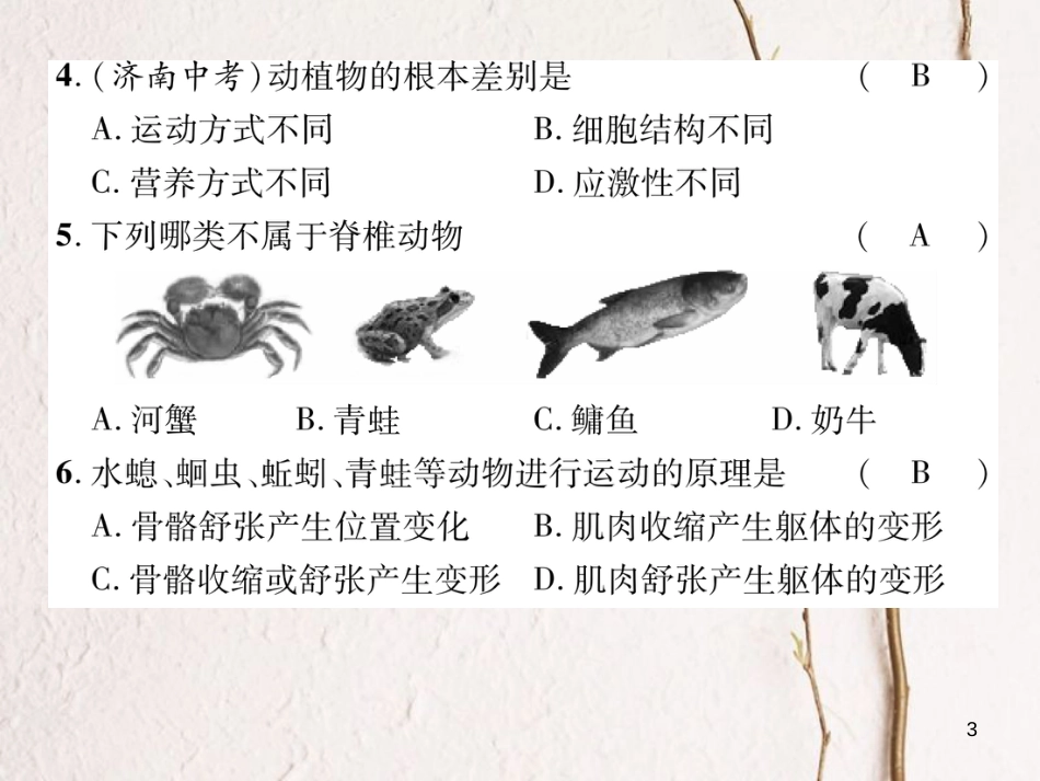 八年级生物上册 期末标测试课件二 （新版）新人教版_第3页