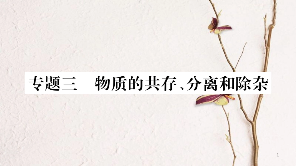 湖南省2018中考化学复习 第2部分 题型专题突破 专题3 物质的共存、分离和除杂课件_第1页