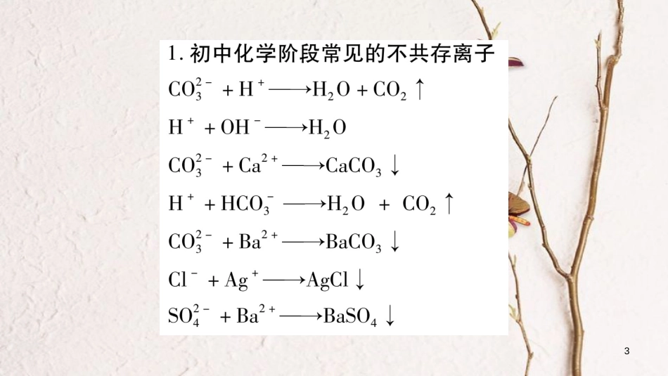 湖南省2018中考化学复习 第2部分 题型专题突破 专题3 物质的共存、分离和除杂课件_第3页