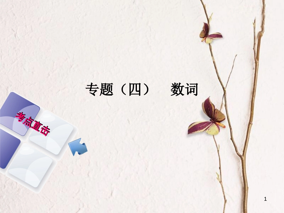 湖南省中考英语总复习 第二部分 语法点击 专题（四）数词课件 人教新目标版_第1页