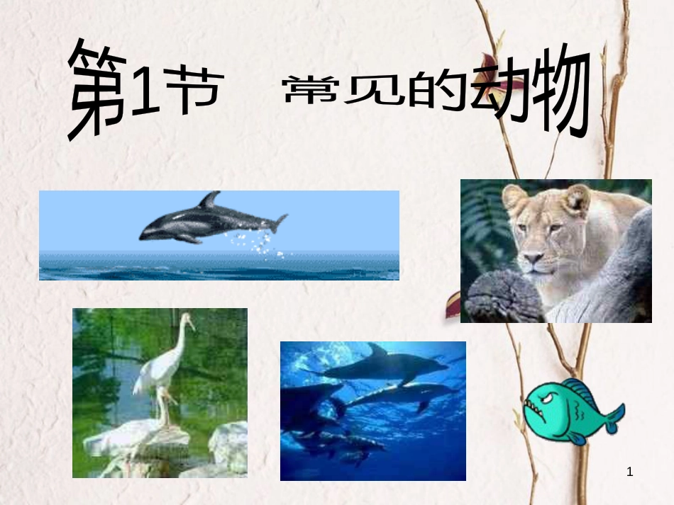 三年级科学上册 2.2 常见的动物课件2 湘教版_第1页