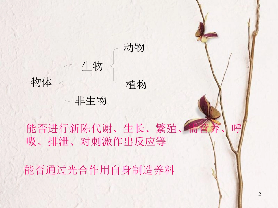 三年级科学上册 2.2 常见的动物课件2 湘教版_第2页