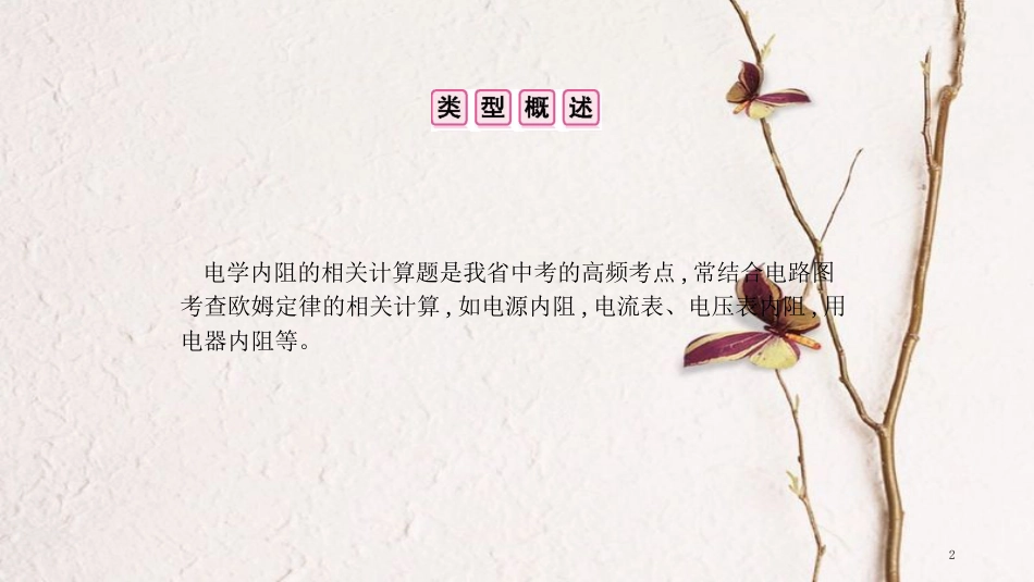 安徽省中考物理一轮复习 模块四 电磁学 专项突破一 电学内阻分析课件_第2页