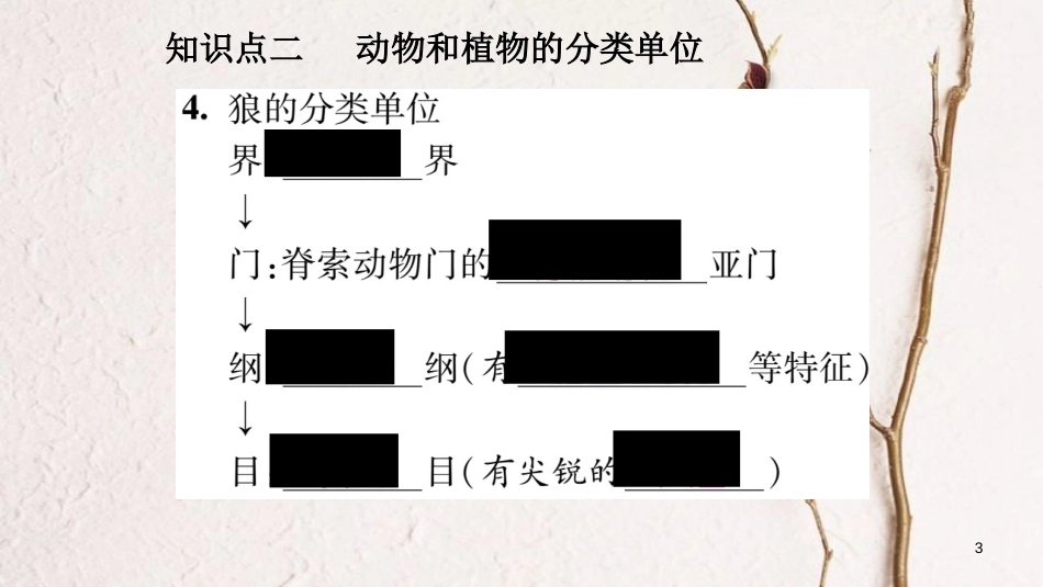 八年级生物上册 6.1.2 从种到界课件 （新版）新人教版[共23页]_第3页