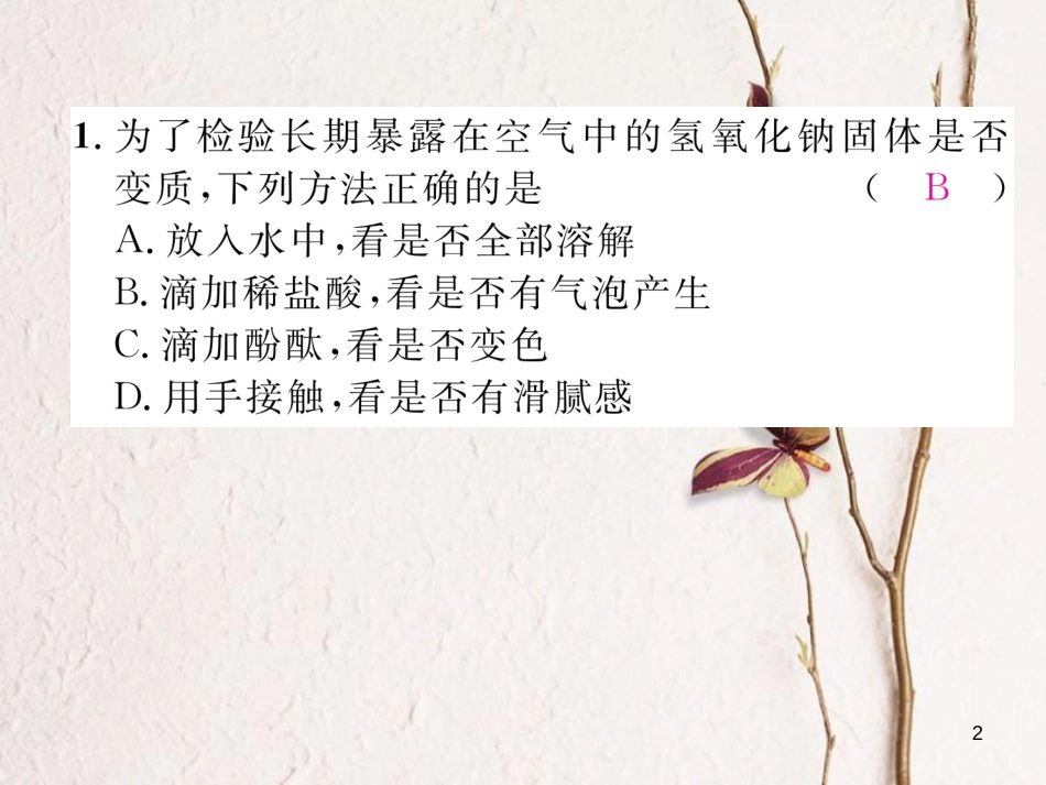 九年级化学下册 专题训练3 NaOH、Ca(OH)2变质的探究作业课件 （新版）新人教版_第2页