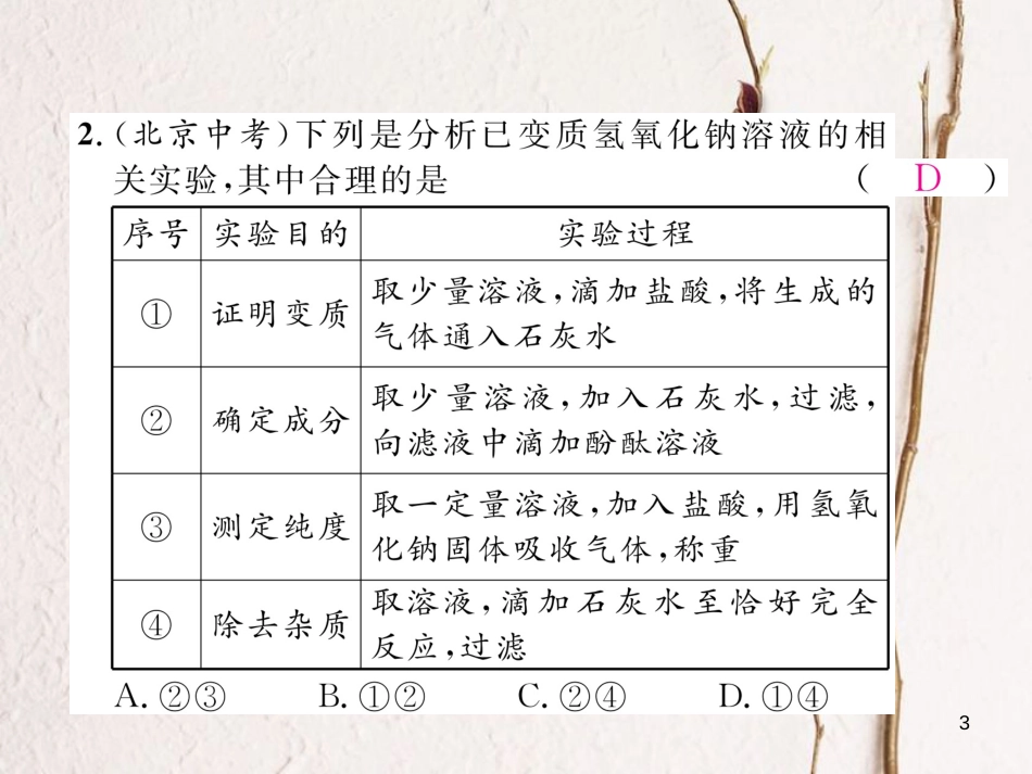 九年级化学下册 专题训练3 NaOH、Ca(OH)2变质的探究作业课件 （新版）新人教版_第3页