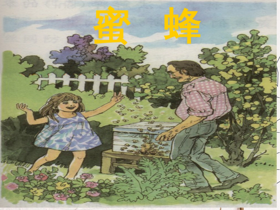 六年级语文上册 第四单元 蜜蜂课件3 湘教版_第1页