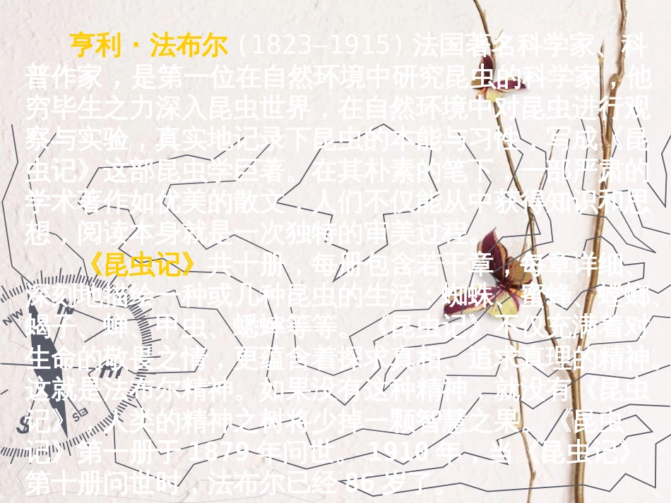六年级语文上册 第四单元 蜜蜂课件3 湘教版_第2页