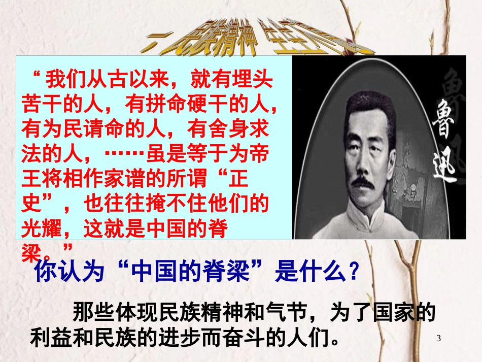 江西省九年级政治全册 第二单元 了解祖国 爱我中华 第五课 中华文化与民族精神 第2框《弘扬和培养民族精神》课件 新人教版_第3页