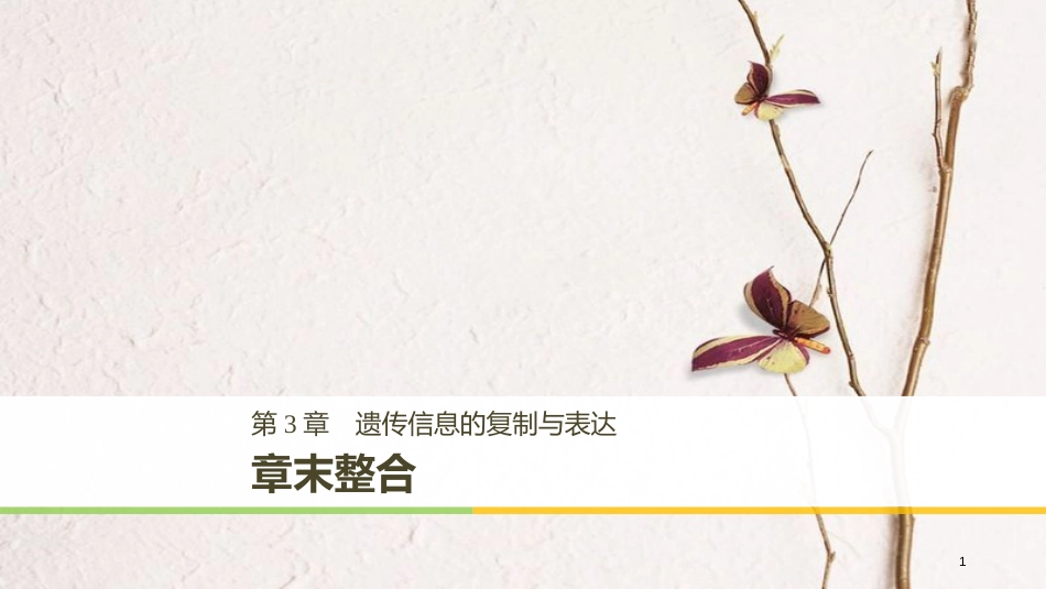 高中生物 第3章 遗传信息的复制与表达章末整合课件 北师大版必修2_第1页