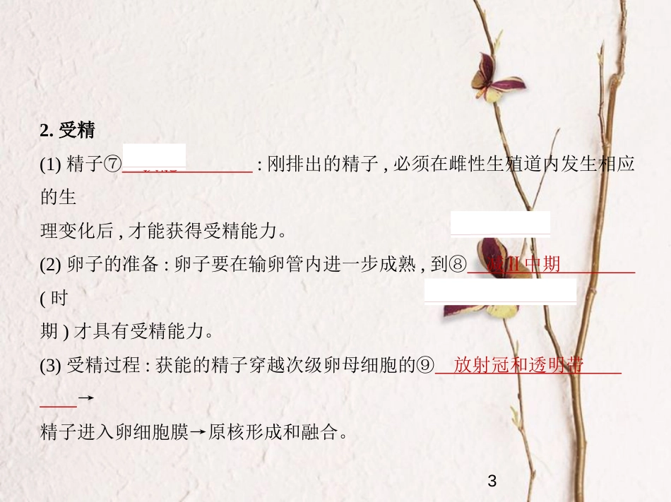（新课标）2019版高考生物一轮复习 专题27 胚胎工程和生态工程课件_第3页