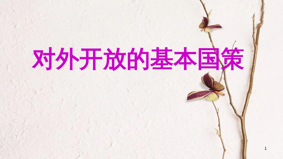 九年级政治全册 第二单元 了解祖国 爱我中华 第四课 了解基本国策与发展战略 第1框 对外开放的基本国策课件 新人教版_第1页