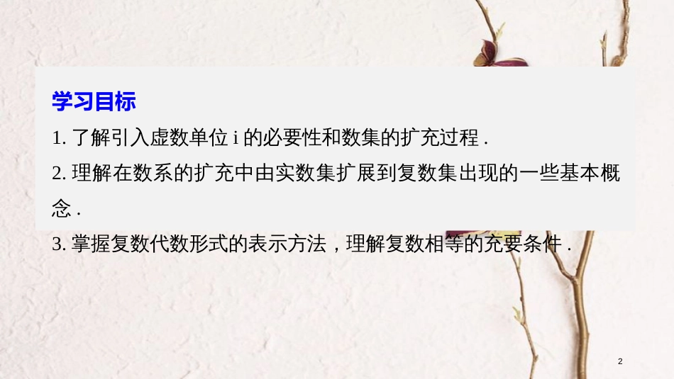 高中数学 第三章 数系的扩充与复数 3.1.1 实数系 3.1.2 复数的概念课件 新人教B版选修2-2_第2页