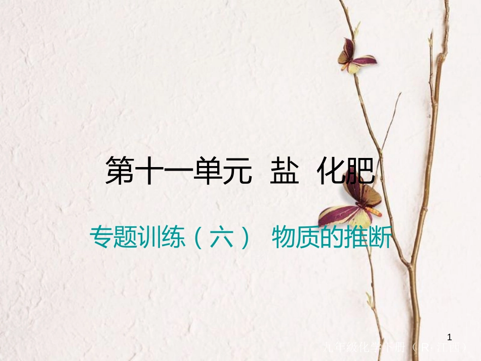 （江西专版）九年级化学下册 第11单元 盐 化肥 专题训练（六）物质的推断课件 （新版）新人教版_第1页