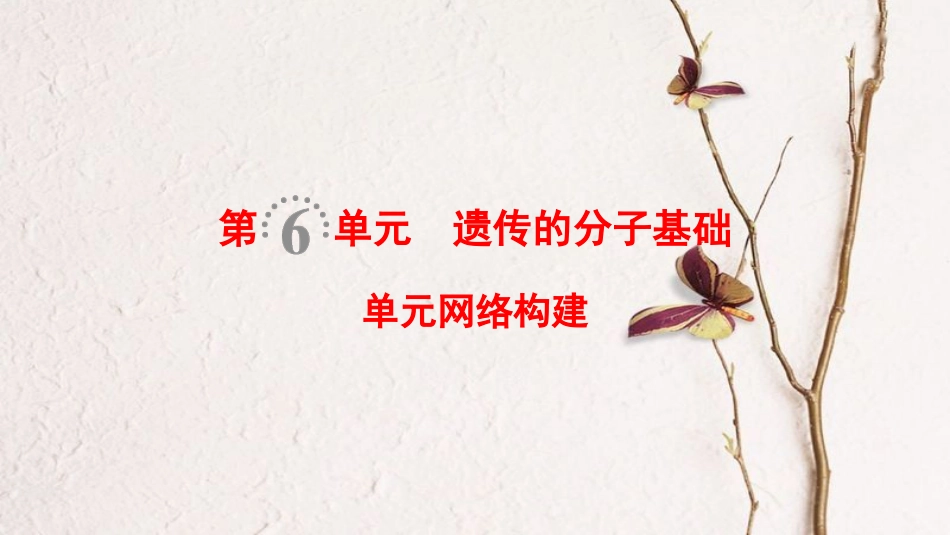 （全国版）2019版高考生物一轮复习 第6单元 遗传的分子基础单元网络构建课件_第1页