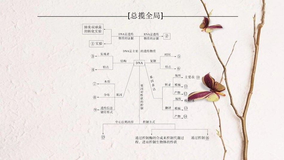 （全国版）2019版高考生物一轮复习 第6单元 遗传的分子基础单元网络构建课件_第2页