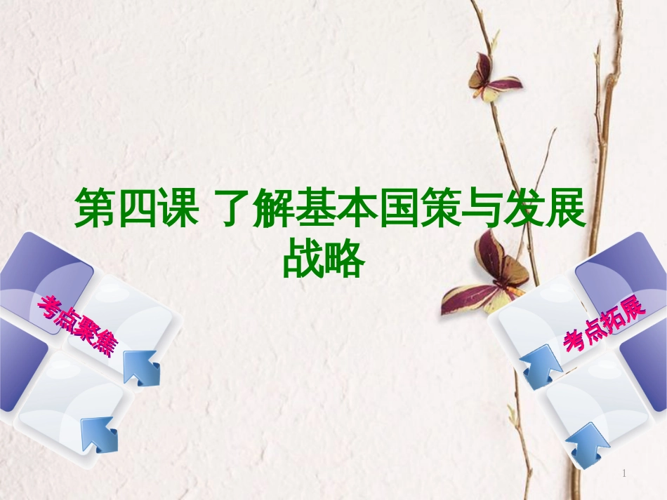 （呼和浩特专版）中考政治复习方案 第三部分 九全 第四课 了解基本国策与发展战略课件_第1页