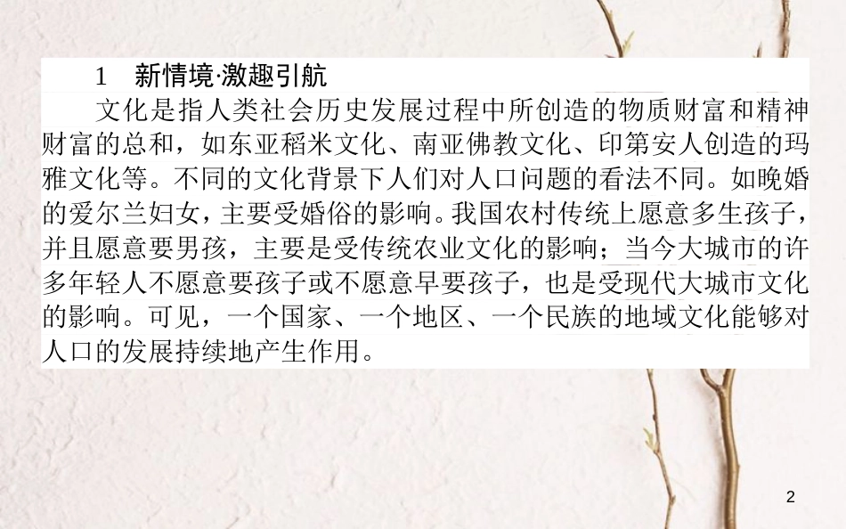 高中地理 第一章 人口与环境 1.4 地域文化与人口课件 湘教版必修2[共47页]_第2页