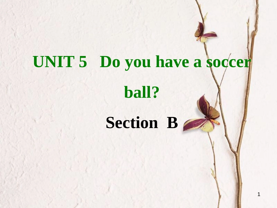 七年级英语上册 Unit 5 Do you have a soccer ball Section B课件 （新版）人教新目标版_第1页