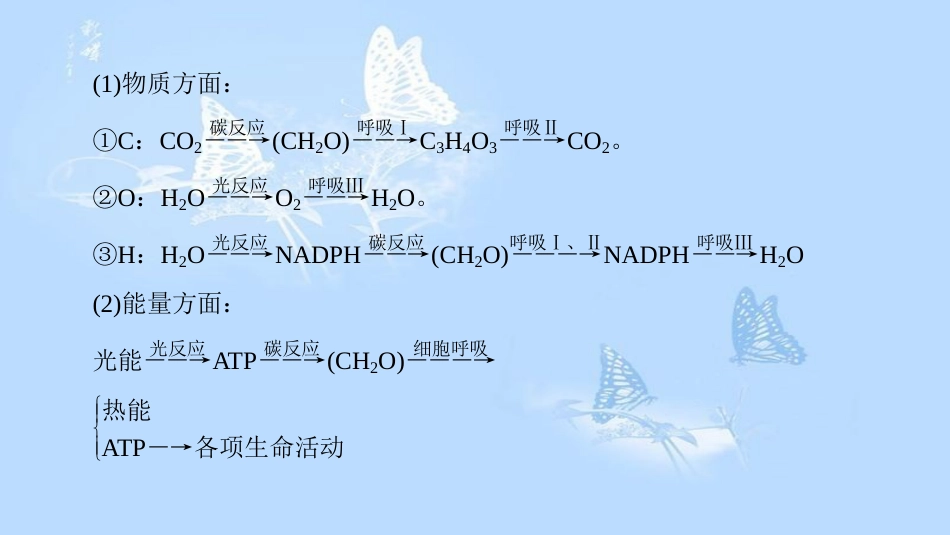 高中生物 第3章 细胞的代谢 微专题突破 光合作用与细胞呼吸的综合课件 浙科版必修1_第3页