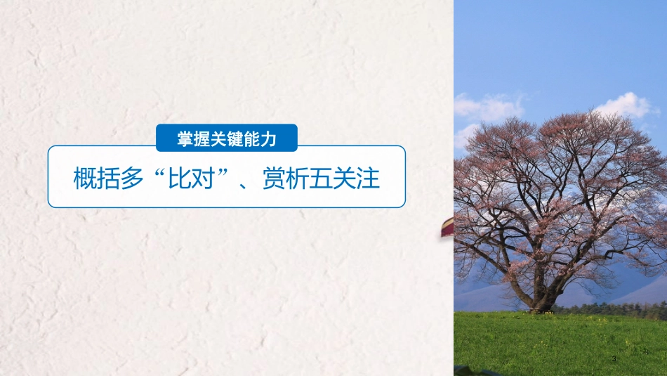2019届高考语文一轮复习 第六章 文言文阅读-侧重文意的疏通性阅读 专题三 理解必备知识，掌握关键能力 核心突破四 概括赏析内容课件_第3页