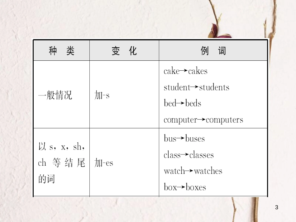 山东省菏泽市中考英语总复习 语法三 名词课件_第3页