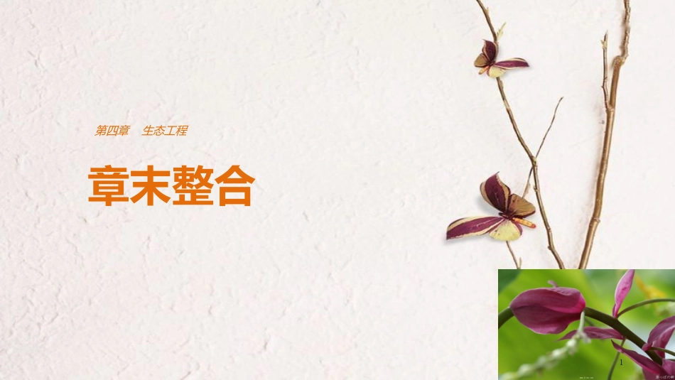 高中生物 第四章 生态工程章末整合课件 苏教版选修3_第1页