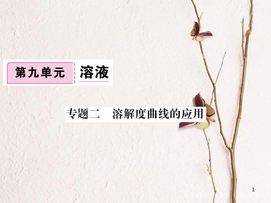 （安徽专版）九年级化学下册 专题二 溶解度曲线的应用练习课件 （新版）新人教版_第1页