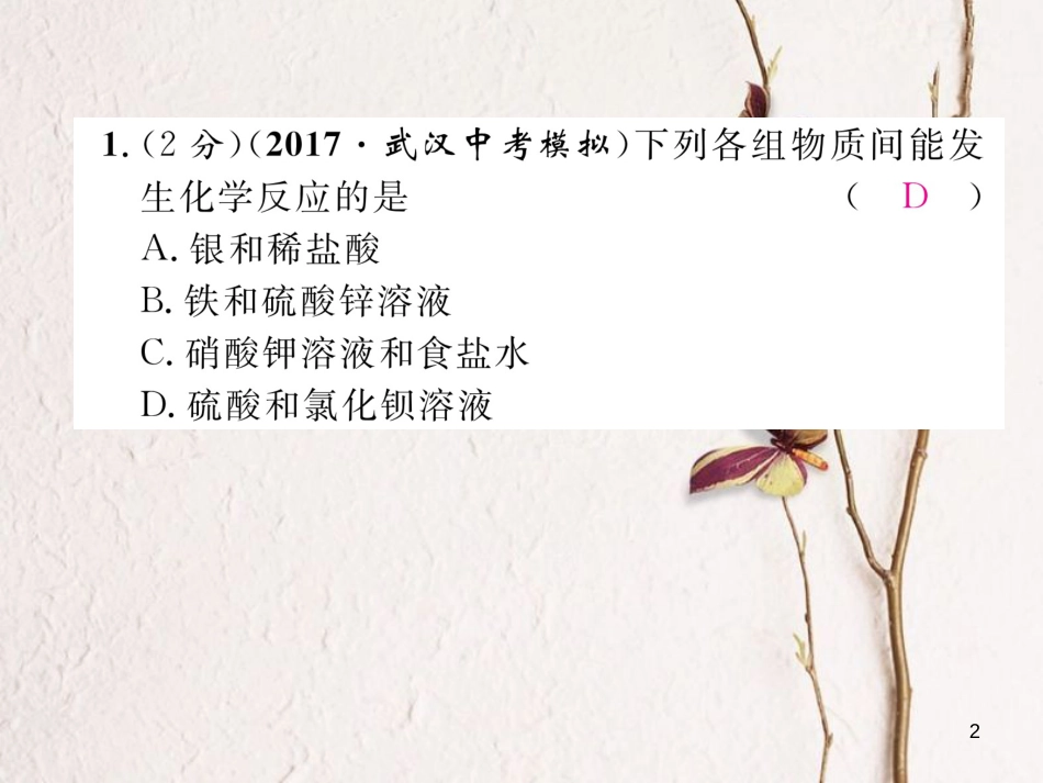 九年级化学下册 双休作业（七）作业课件 （新版）新人教版_第2页