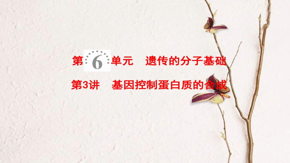 2019版高考生物一轮复习 第6单元 遗传的分子基础 第3讲 基因控制蛋白质的合成课件 苏教版_第1页