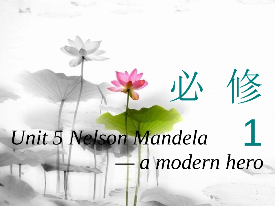 高考英语一轮复习 Unit 5 Nelson Mandela-a modern hero课件 新人教版必修1_第1页