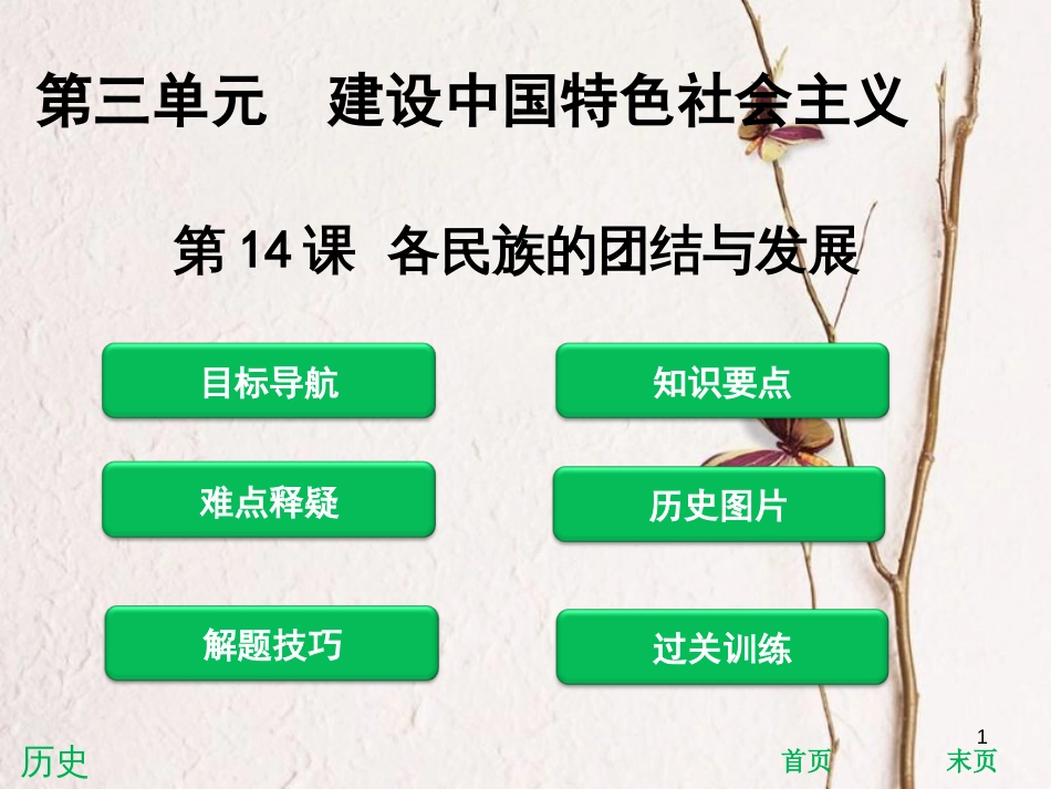 八年级历史下册 第3单元 建设中国特色社会主义 第14课 各民族的团结与发展课件 北师大版_第1页