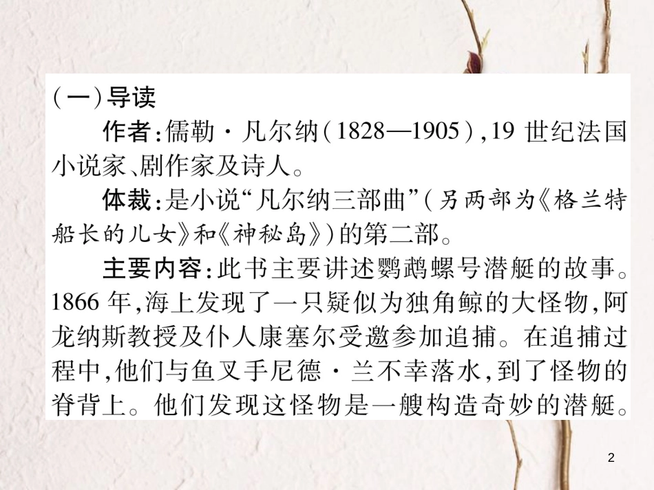 （遵义专版）七年级语文下册 名著导读《海底两万里》快速阅读课件 新人教版_第2页