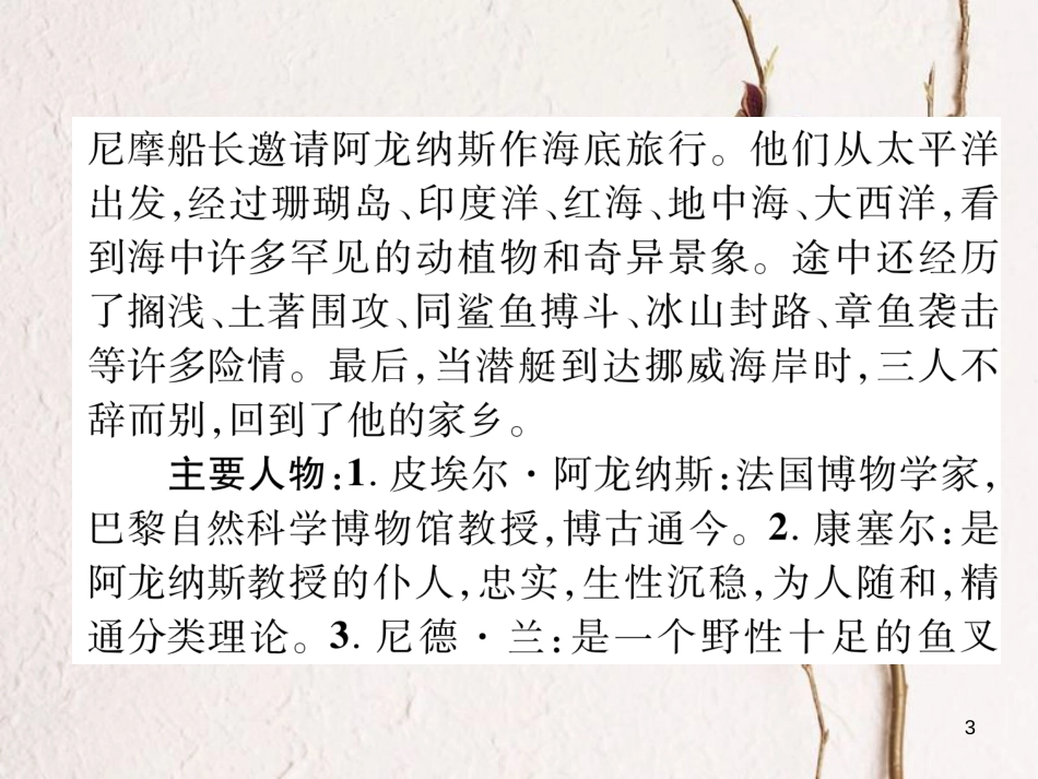 （遵义专版）七年级语文下册 名著导读《海底两万里》快速阅读课件 新人教版_第3页