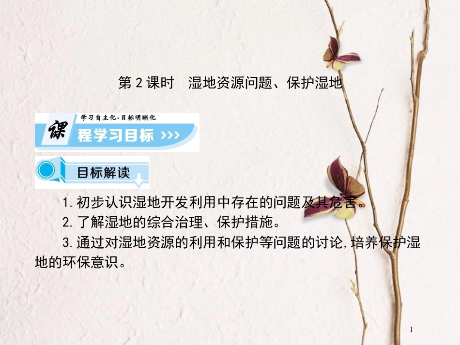高中地理 第二章 区域可持续发展 第二节 湿地资源的开发与保护—以洞庭湖区为例（课时2）课件 湘教版必修3_第1页