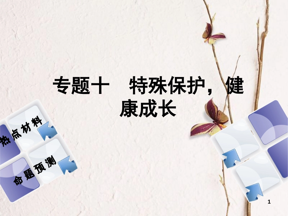 （江西专版）中考政治复习方案 第二部分 专题突破十 特殊保护，健康成长课件_第1页