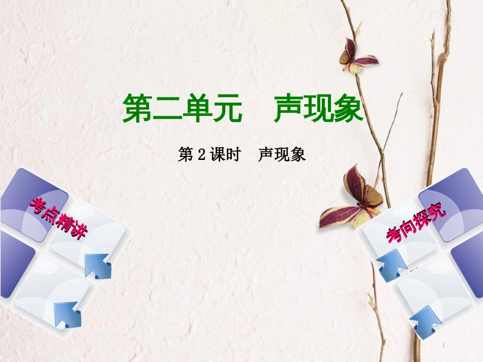 中考物理复习 第二单元 声现象 第2课时 声现象课件_第1页