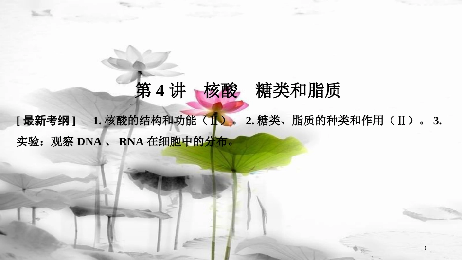 届高考生物一轮复习 第一单元 组成细胞的分子 第4讲 核酸 糖类和脂质课件_第1页