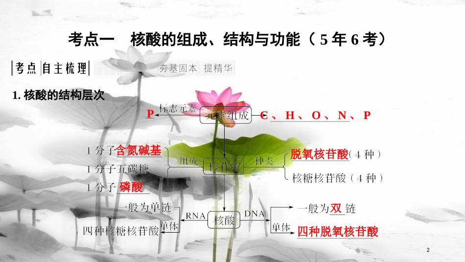 届高考生物一轮复习 第一单元 组成细胞的分子 第4讲 核酸 糖类和脂质课件_第2页