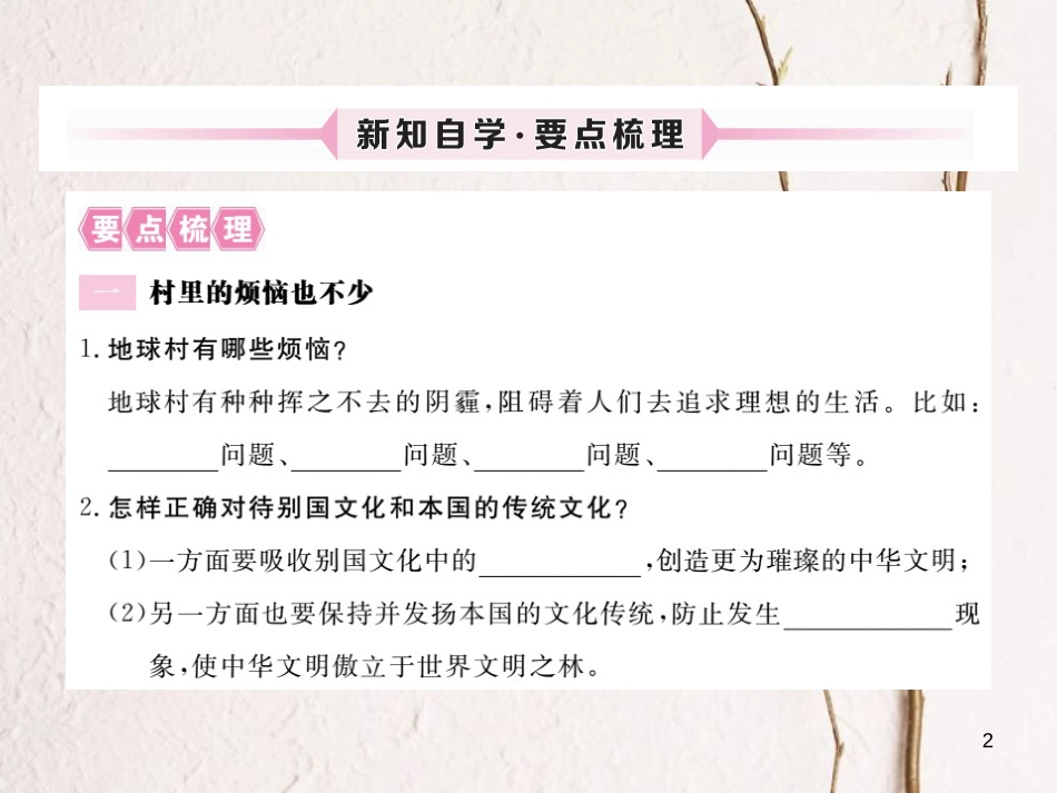 九年级政治全册 第一单元 世界大舞台 第一课 生活在地球村 第3框 村里的烦恼也不少 做负责任的村民课件 人民版_第2页