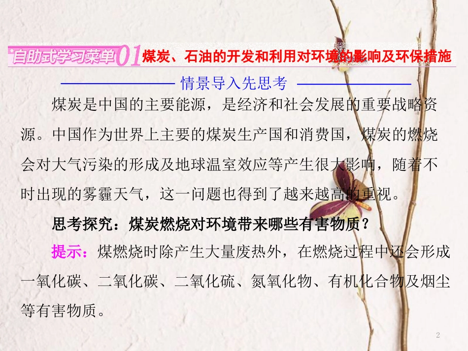 高中地理 第二章 资源问题与资源的利用和保护 第二节 煤炭、石油资源的利用与保护课件 中图版选修6_第2页