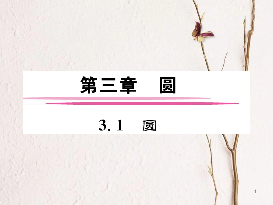 九年级数学下册 第三章 圆 3.1 圆作业课件 （新版）北师大版_第1页
